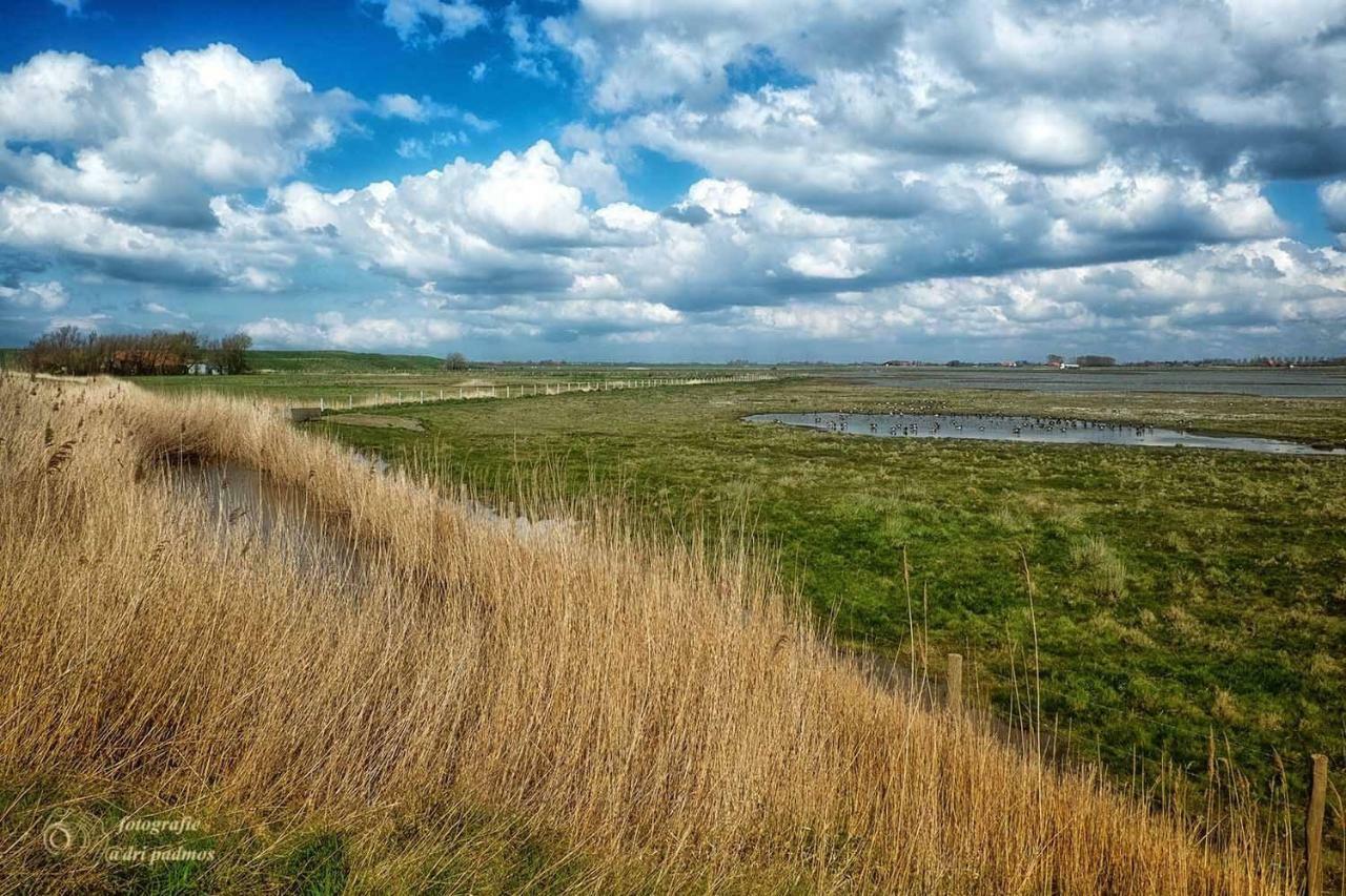 Willa Hogezoom 131 Renesse Zewnętrze zdjęcie